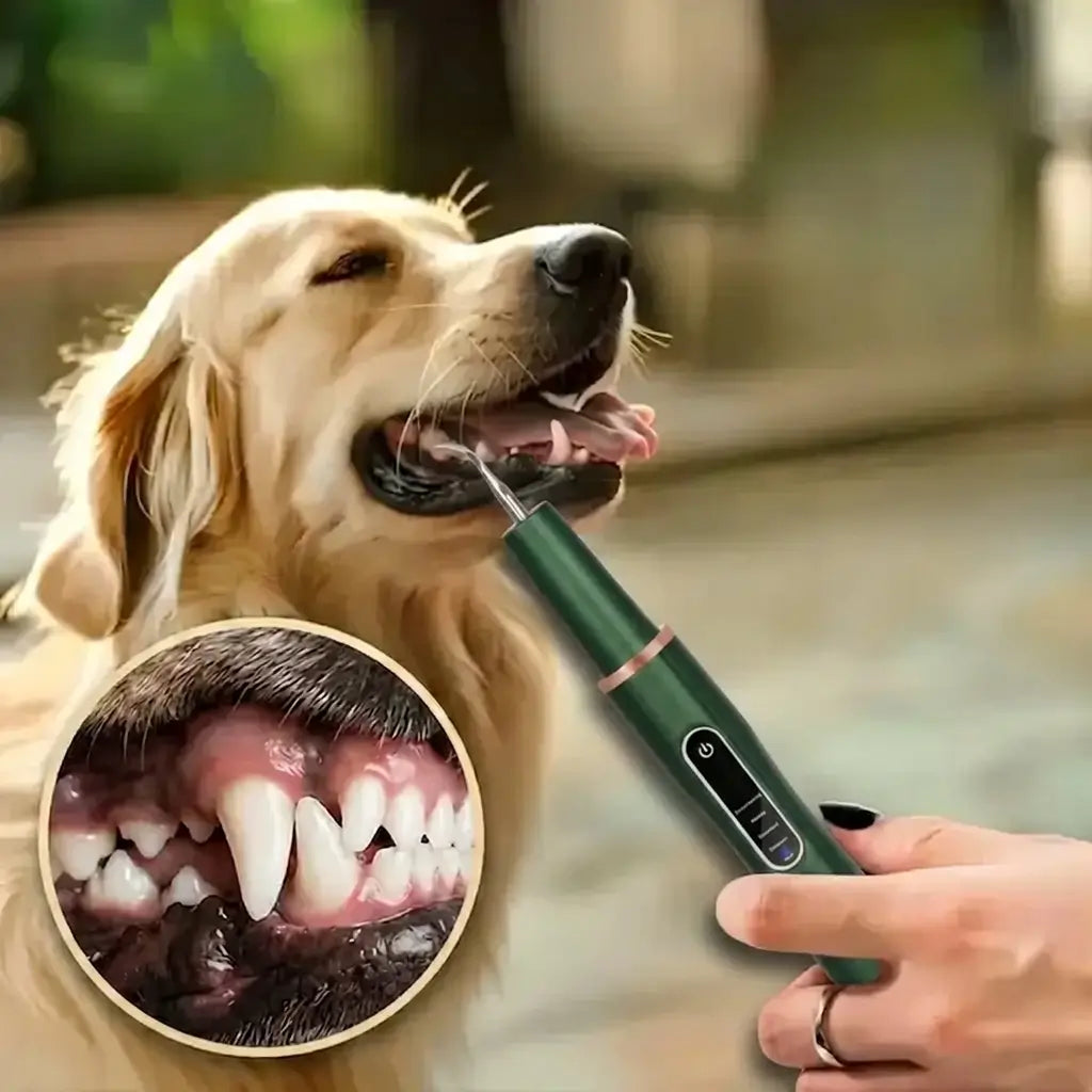Ultrasonic Dog Dental Scaler & Teeth Cleaning Kit