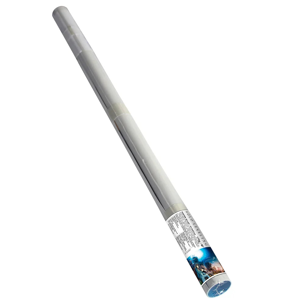 Shadow Warrior Anime Wall Poster - 61 x 91.5 cm