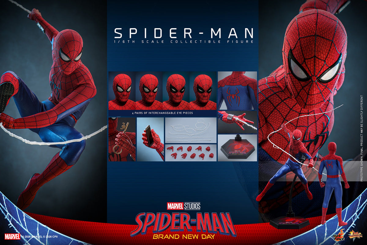 Web Hero 1/6 Scale Action Figure