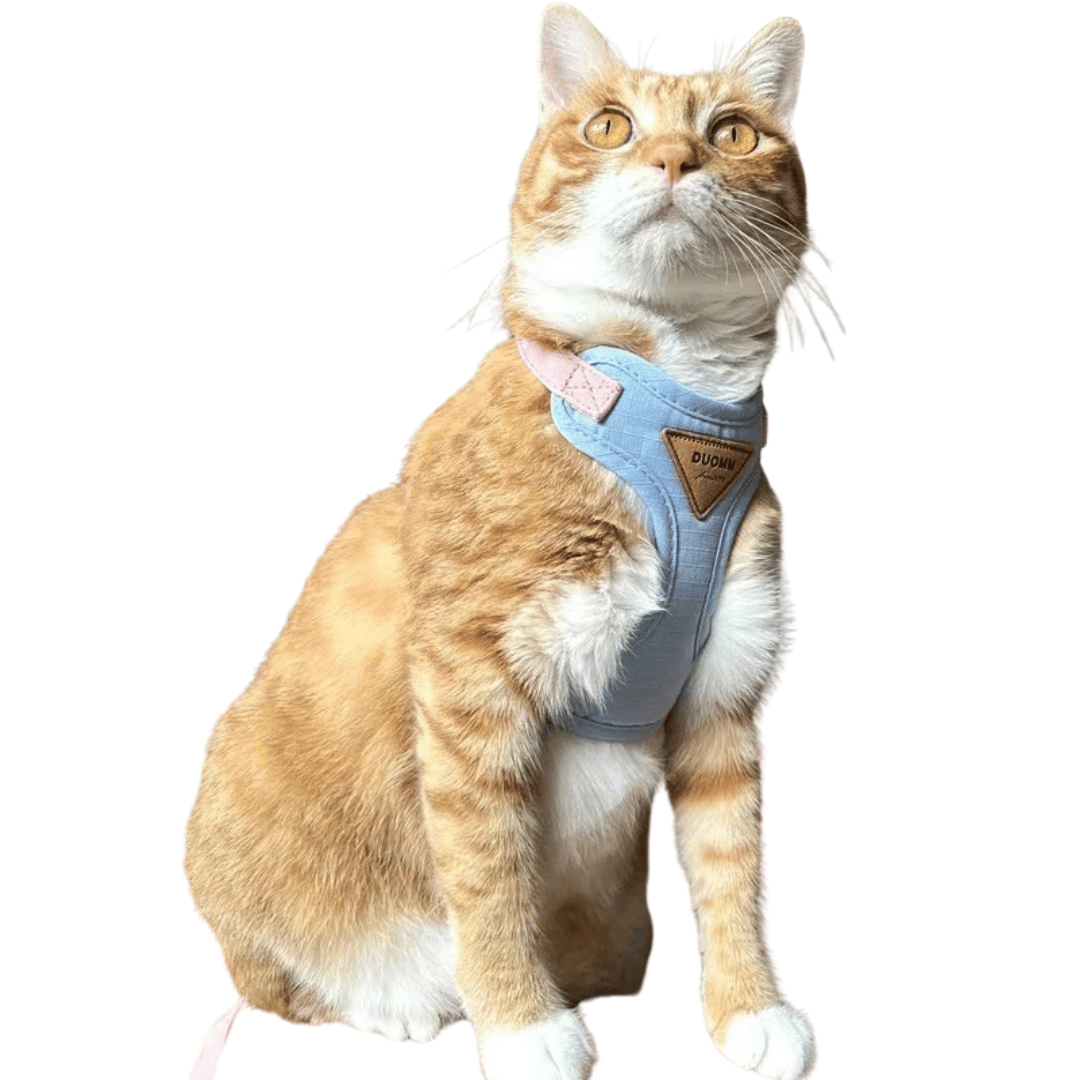 Soft Breathable Cat Harness & Leash Set