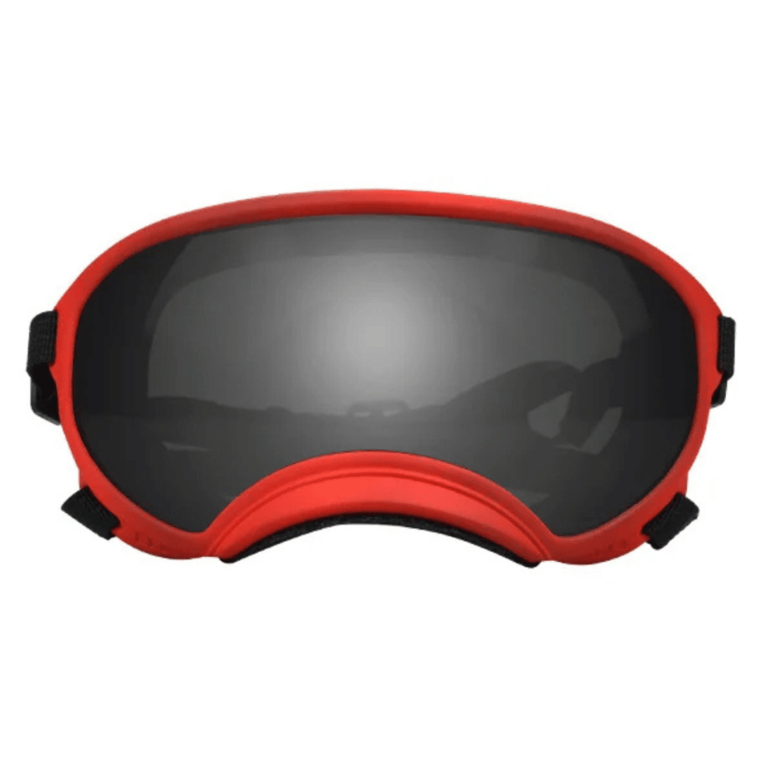 Waterproof Dog Goggles with UV Protection & Adjustable Straps
