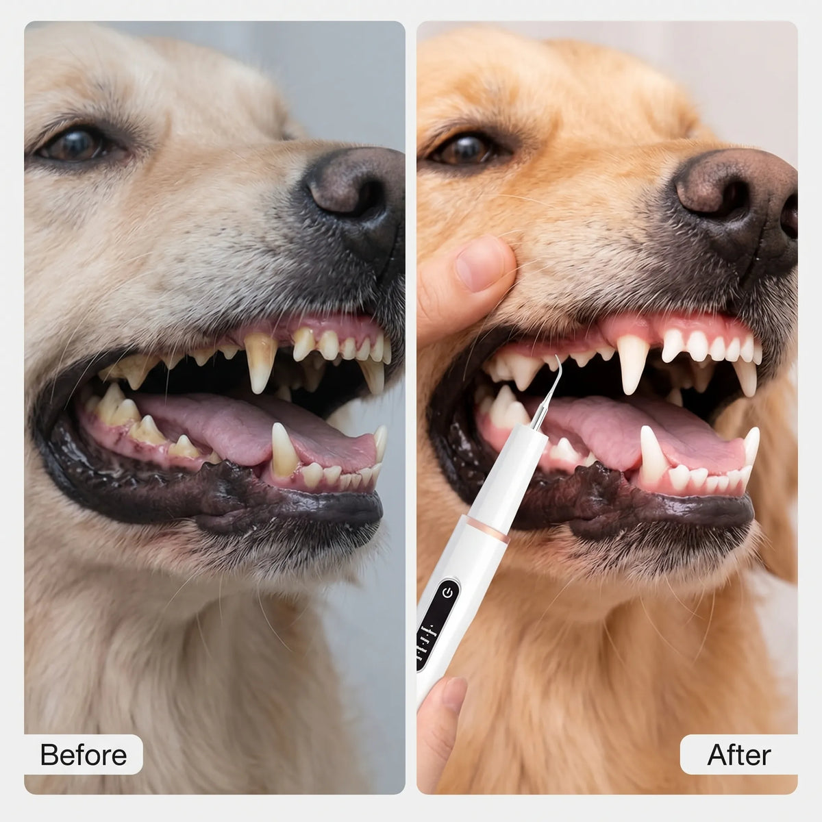 Ultrasonic Dog Dental Scaler & Teeth Cleaning Kit