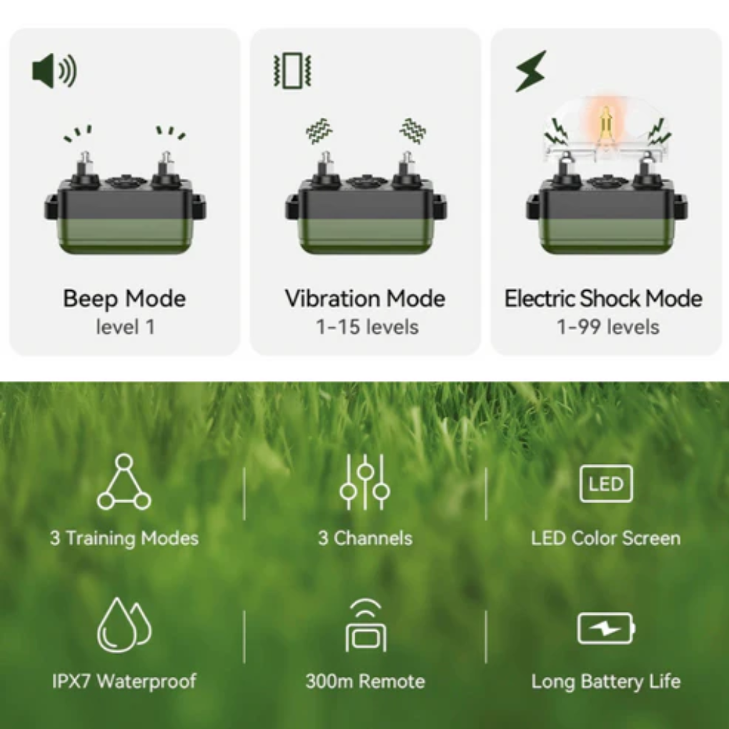 Remote Dog Training Collar with 300m Range