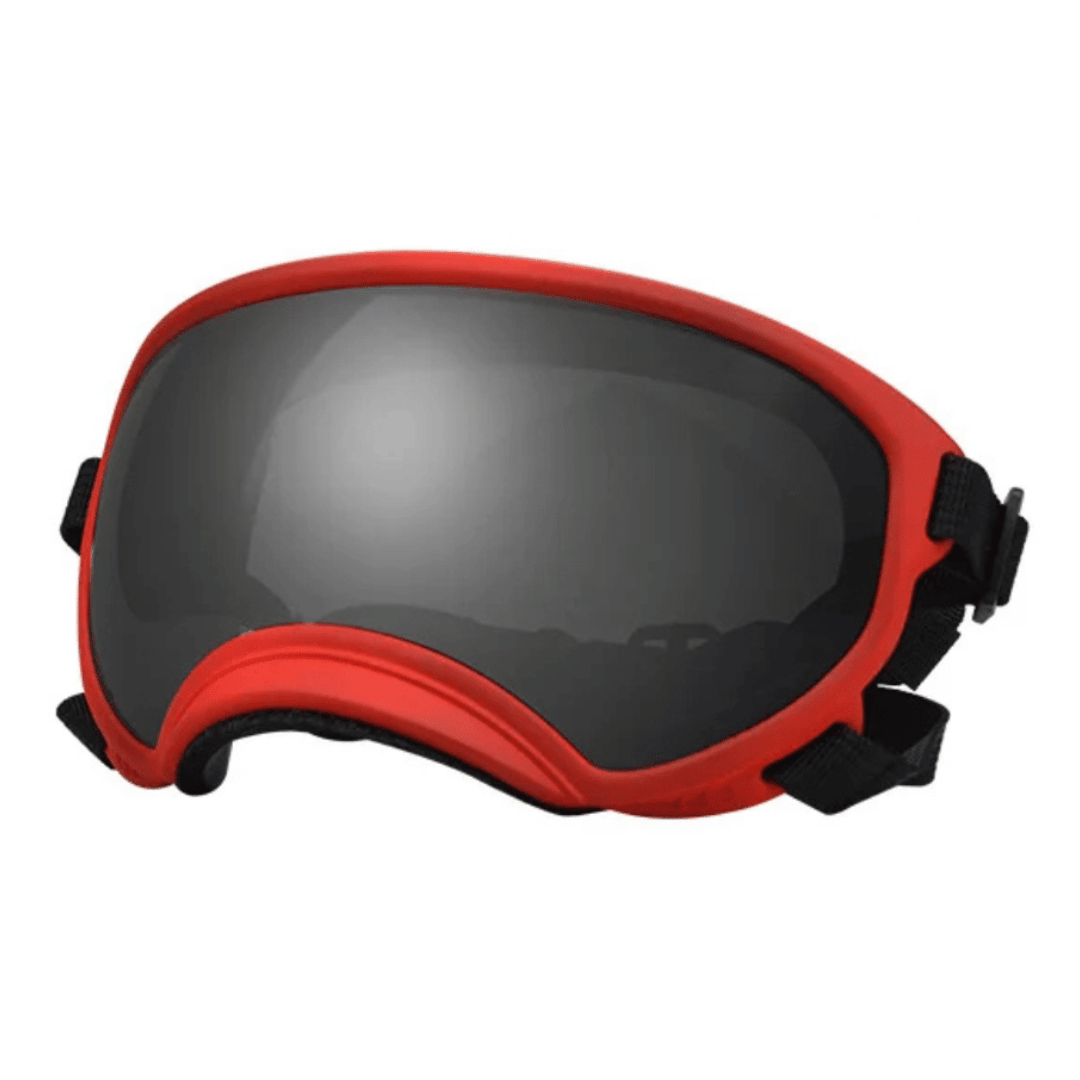 Waterproof Dog Goggles with UV Protection & Adjustable Straps