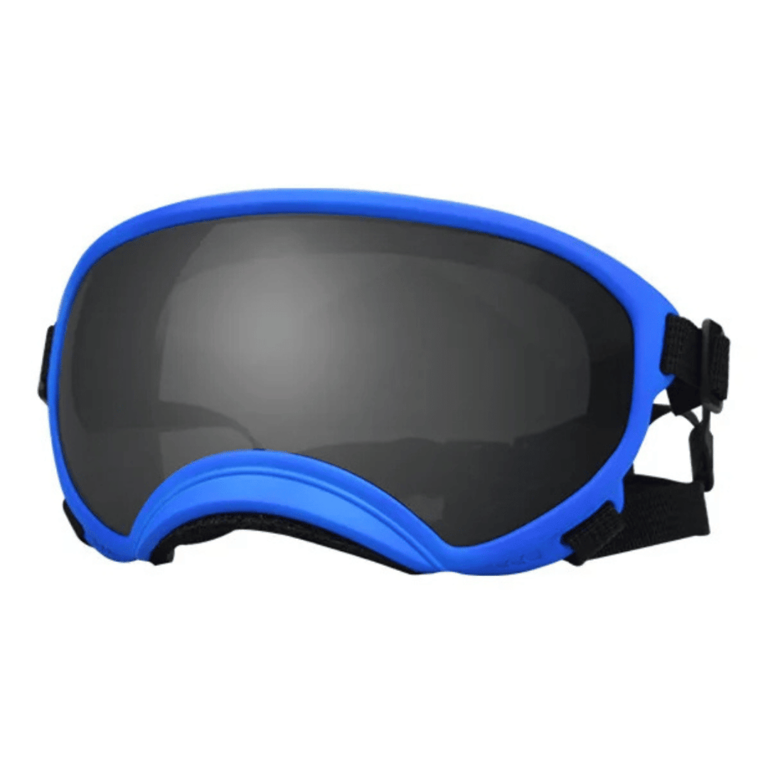 Waterproof Dog Goggles with UV Protection & Adjustable Straps