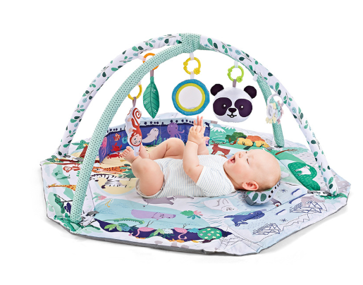 8-in-1 Baby Activity Play Mat – Sensory Gym with 6 Detachable Toys