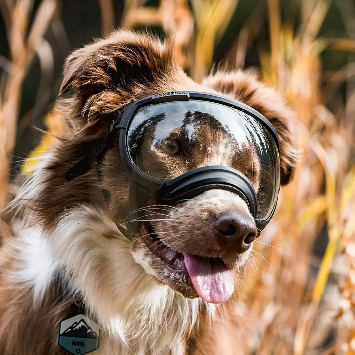 Waterproof Dog Goggles with UV Protection & Adjustable Straps