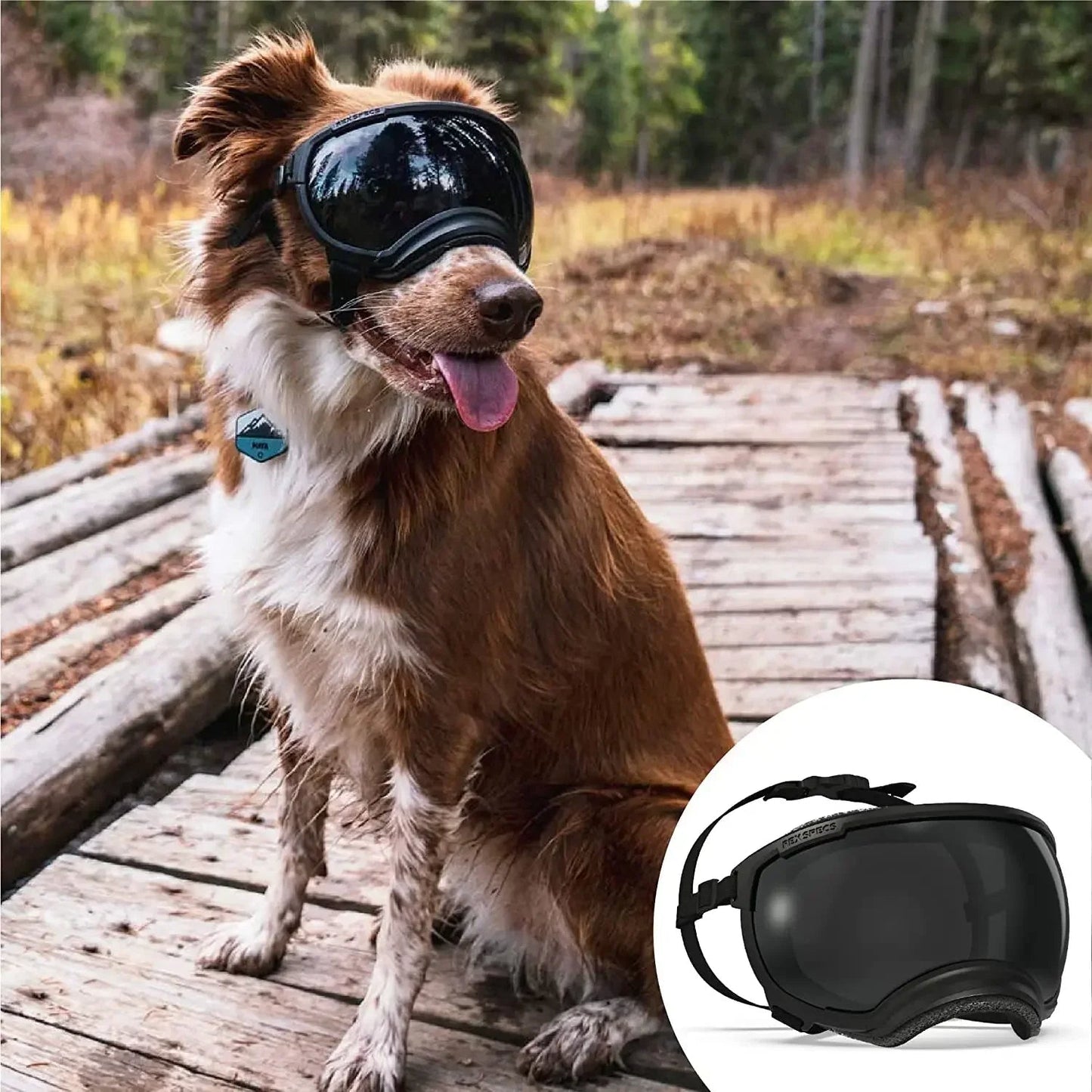 Waterproof Dog Goggles with UV Protection & Adjustable Straps