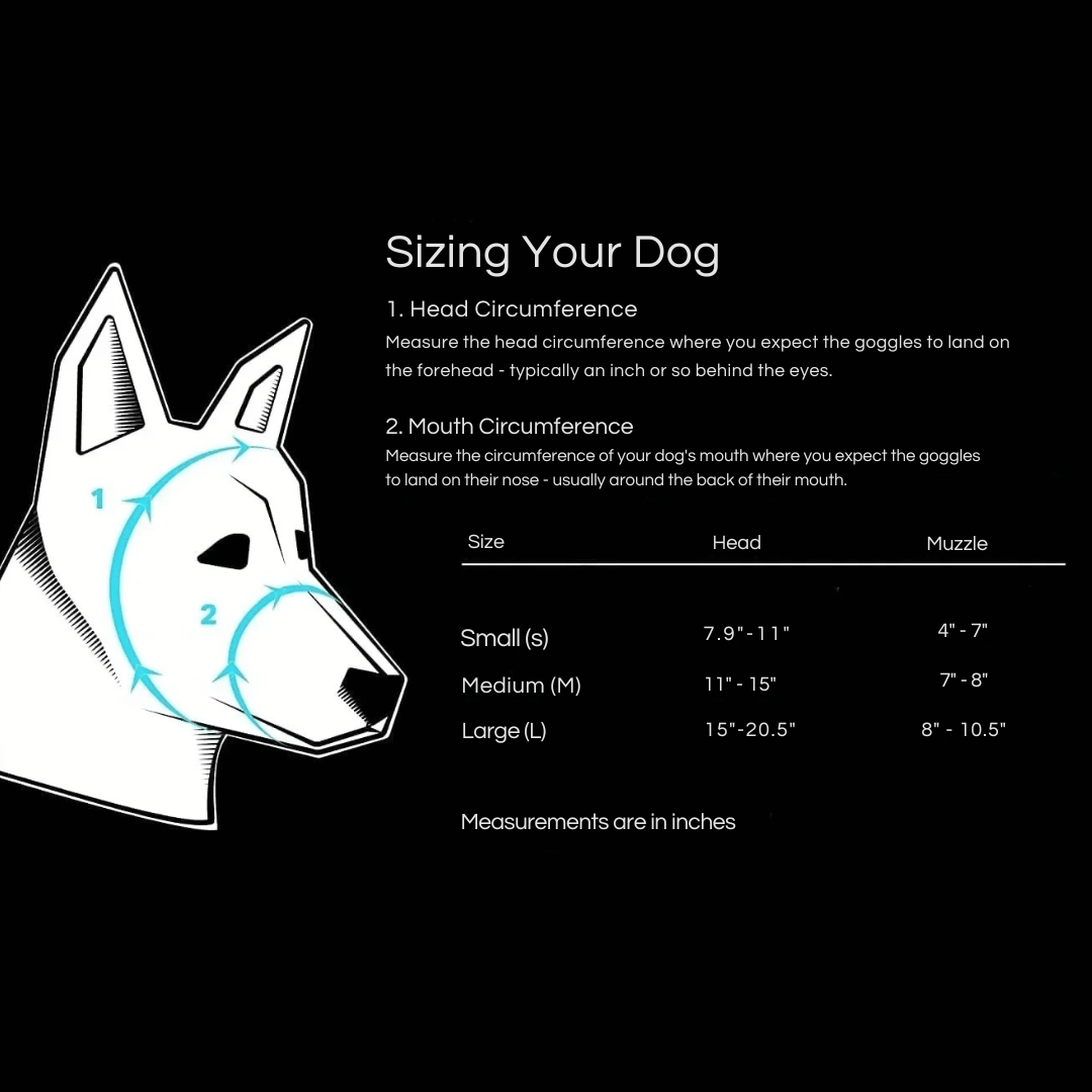 Waterproof Dog Goggles with UV Protection & Adjustable Straps