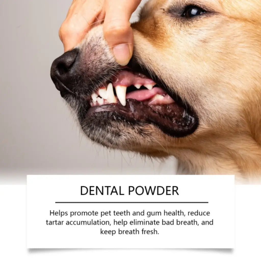 Dog Dental Powder with Enzymes & Probiotics – 150g