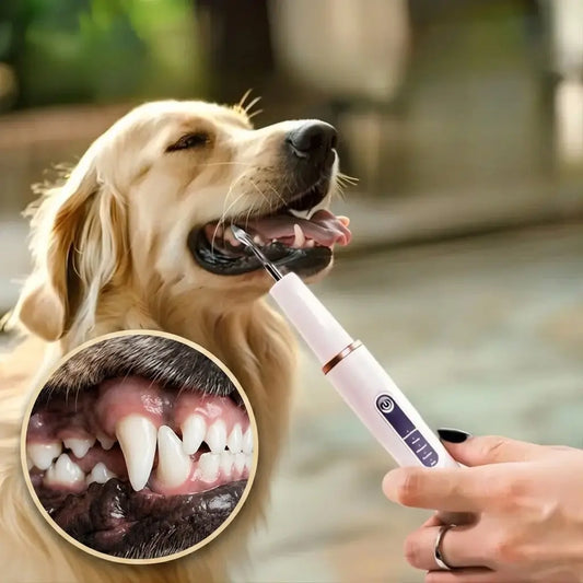 Ultrasonic Dog Dental Scaler & Teeth Cleaning Kit