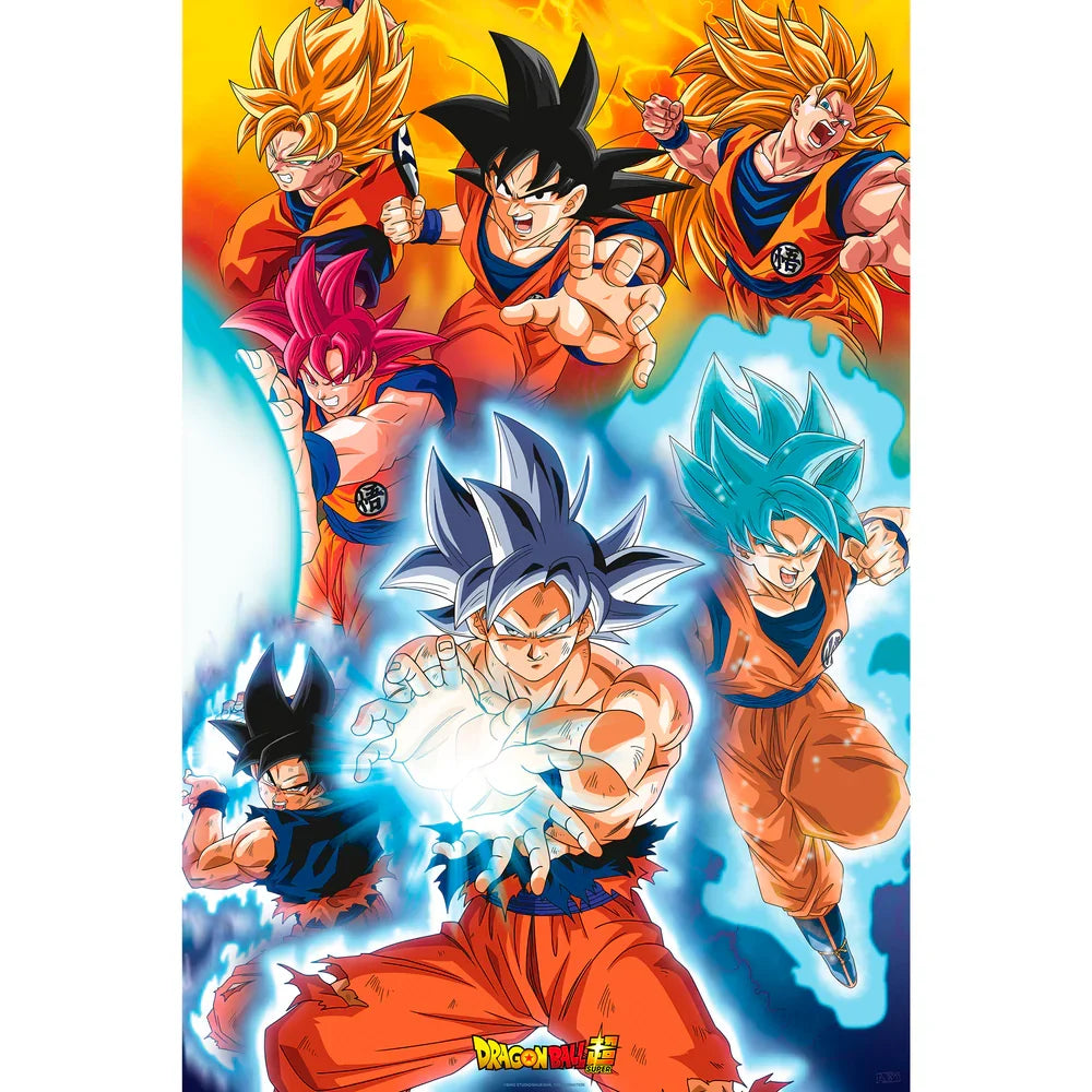 Warrior Transformations 61 x 91.5 cm Wall Poster