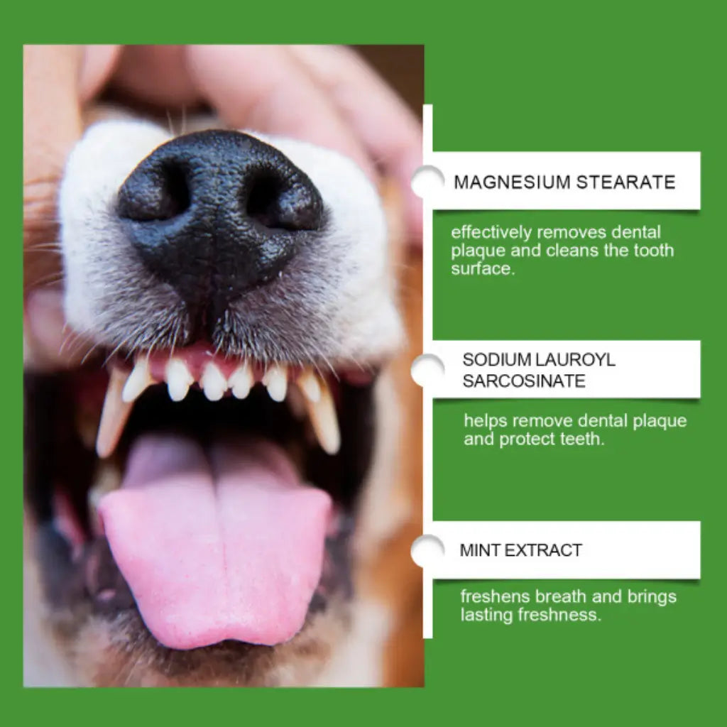 Dog Dental Powder with Enzymes & Probiotics – 150g