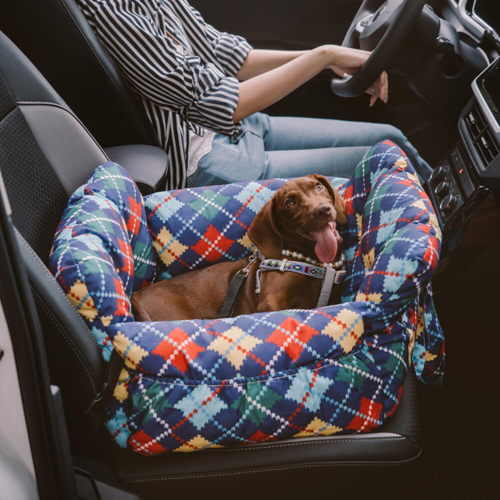 3-in-1 Dog Travel Bed & Car Seat with Carry Strap