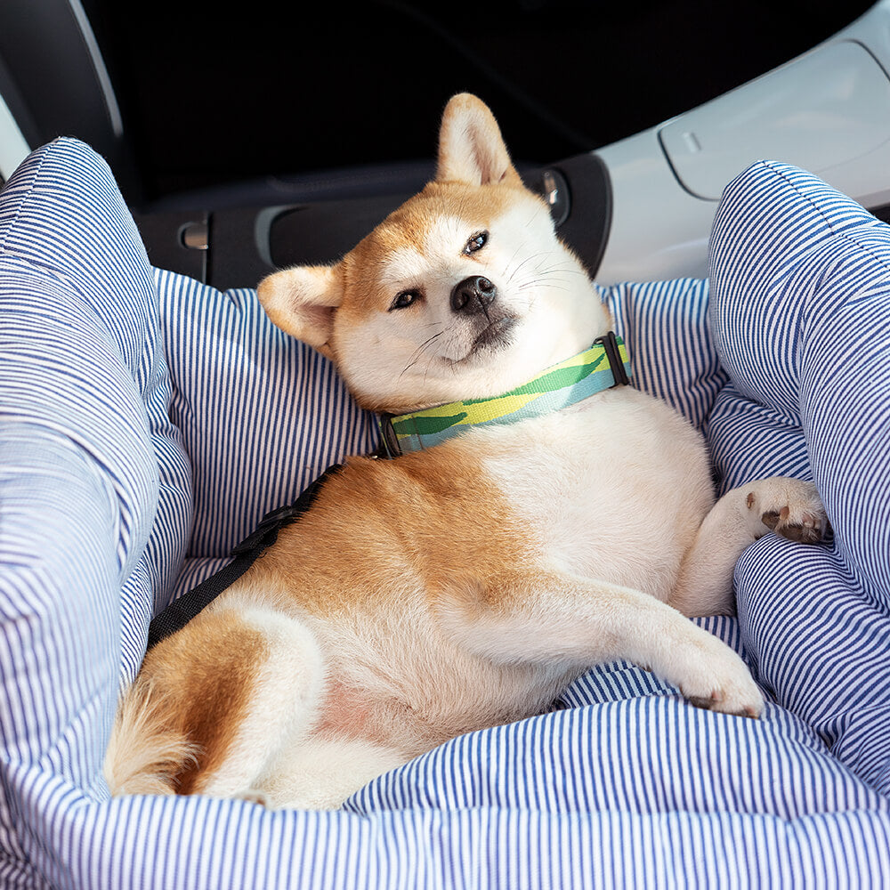 3-in-1 Dog Travel Bed & Car Seat with Carry Strap