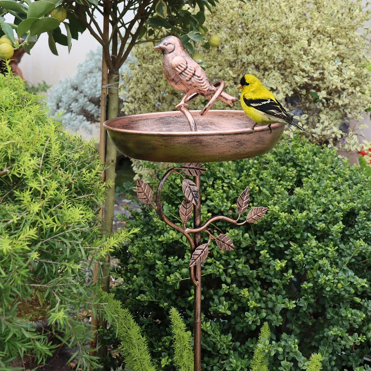 Outdoor Garden Bird Bath with Decorative Bowl & Ground Stake