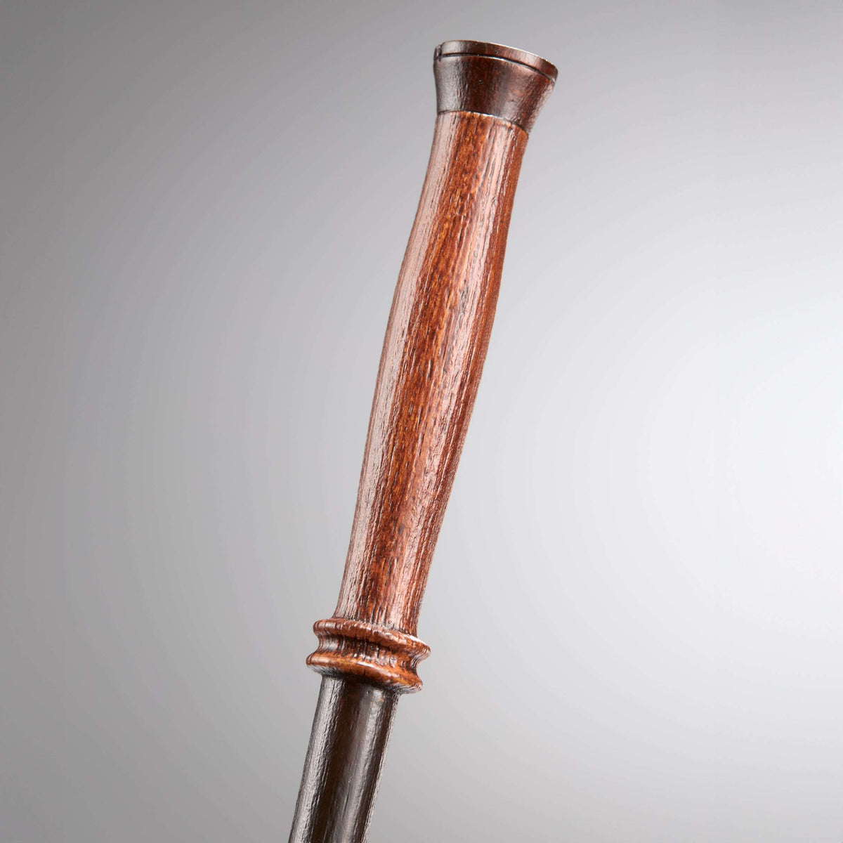 Young Wizard’s First Wand in Presentation Box