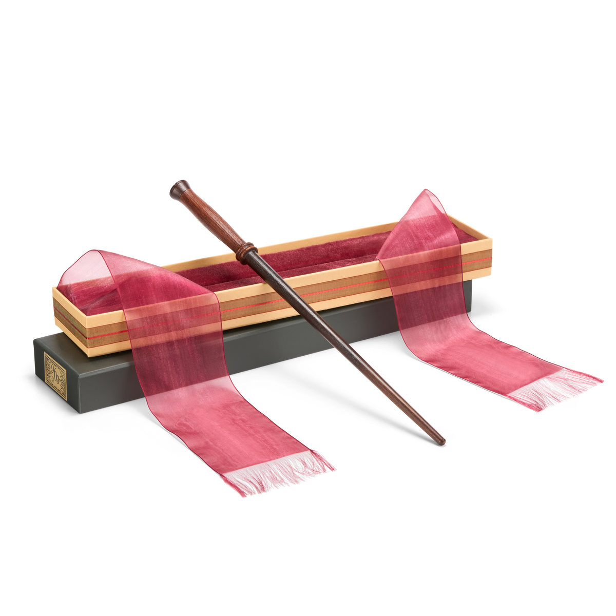 Young Wizard’s First Wand in Presentation Box