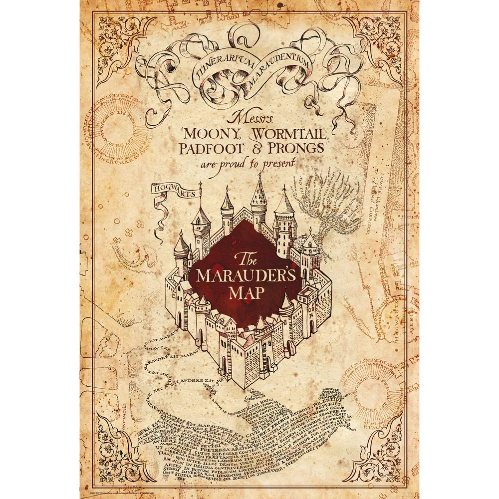 Young Wizard Wizard Map 61 x 91.5 cm Wall Poster