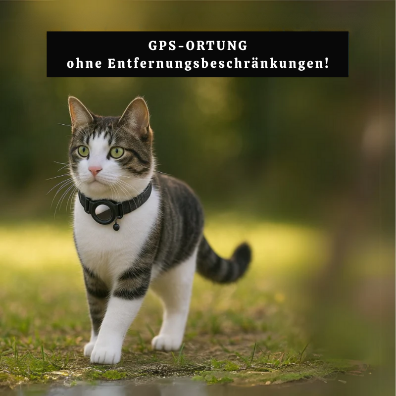 Waterproof Pet GPS Tracker Collar – Real-Time Tracking, No Subscription