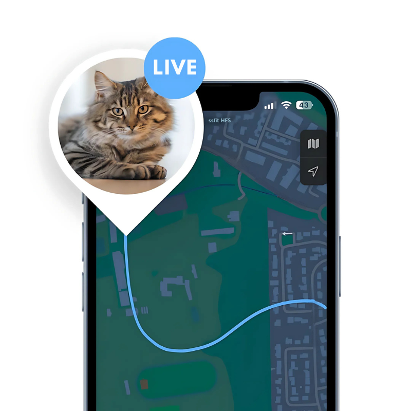 Waterproof Pet GPS Tracker Collar – Real-Time Tracking, No Subscription