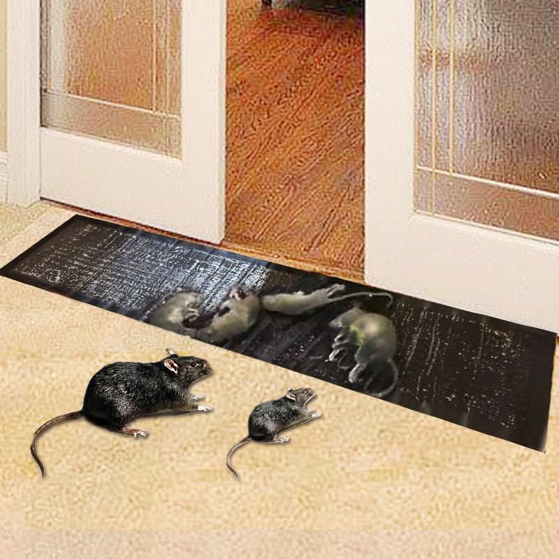 Large Non-Toxic Sticky Pest Traps – Indoor Glue Boards for Crawling Pests