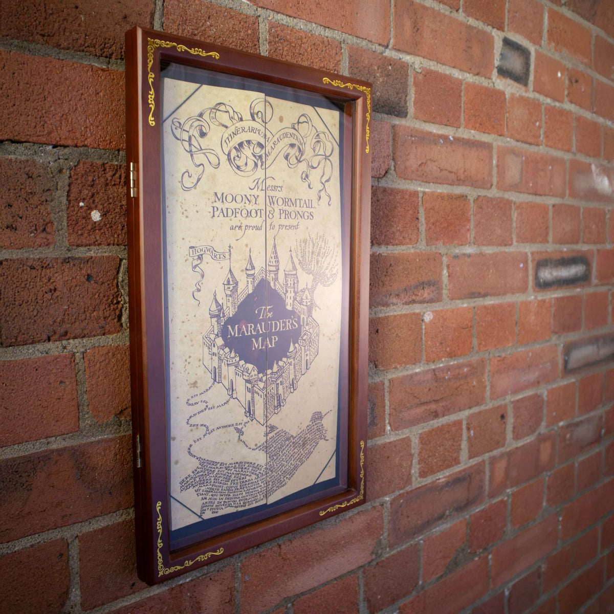 Wizard Map Display Case
