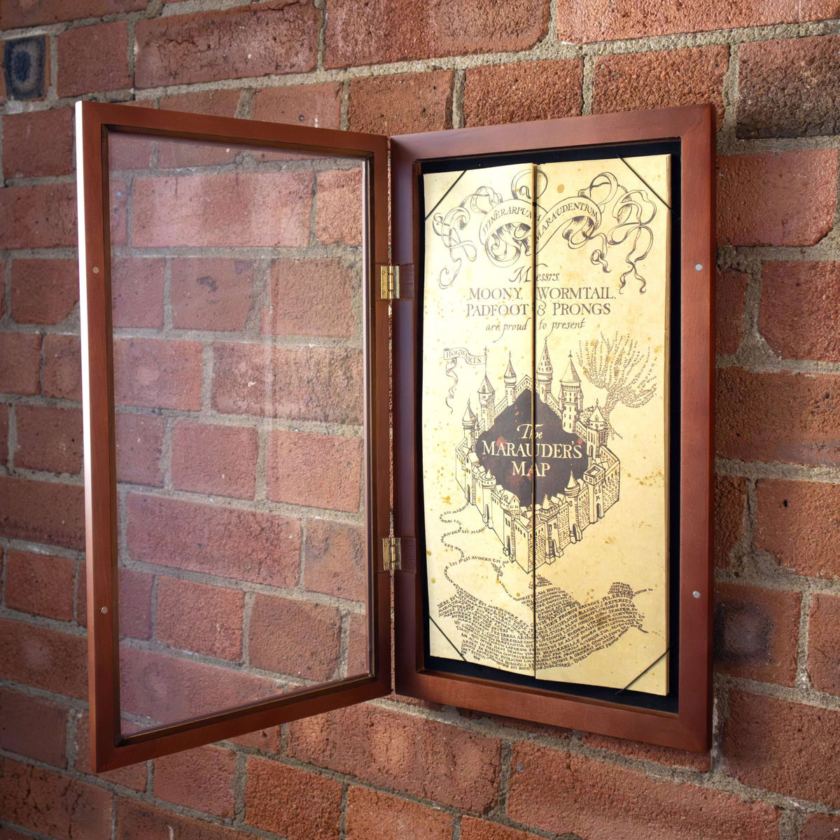 Wizard Map Display Case