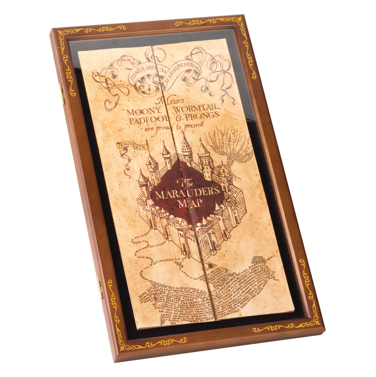 Wizard Map Display Case