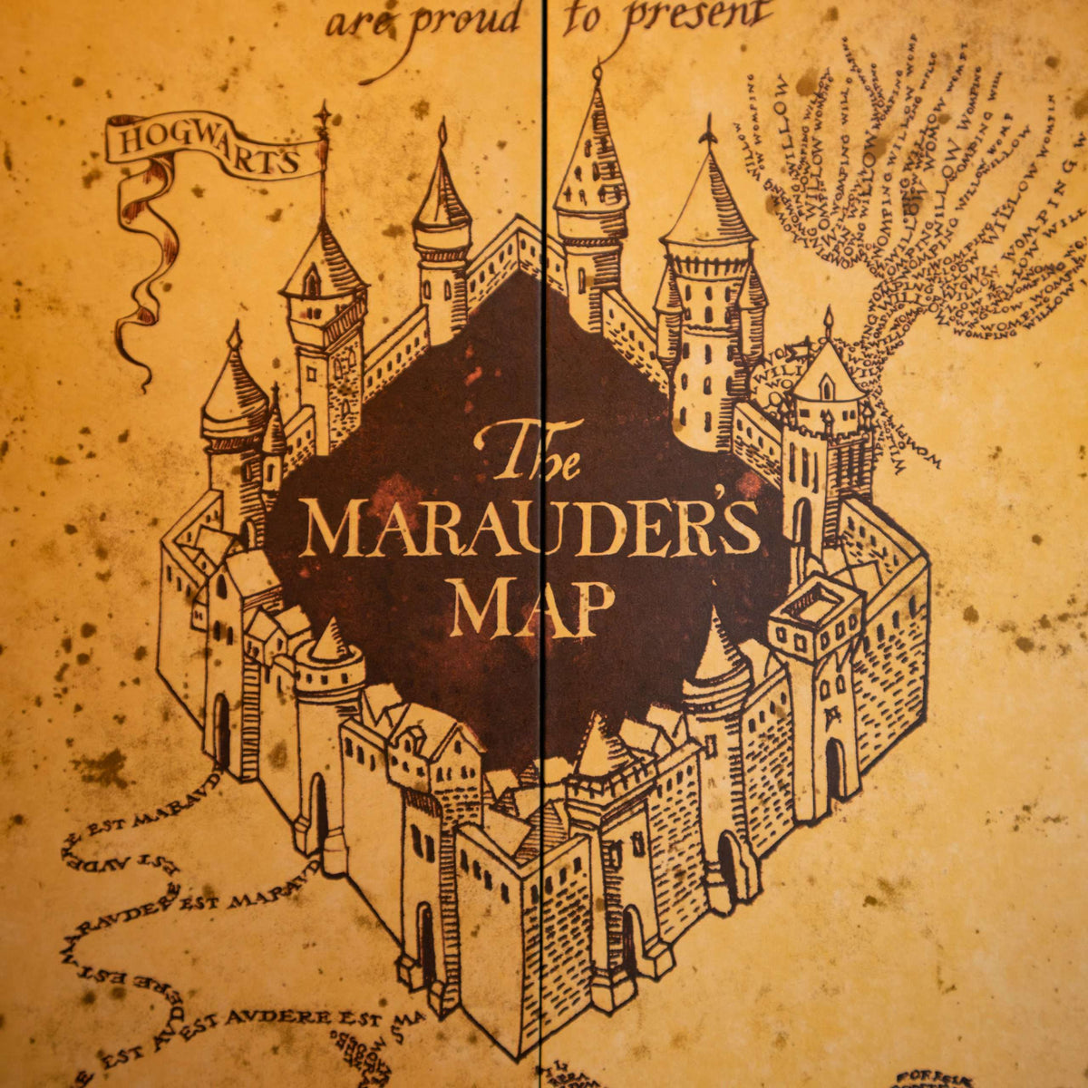 Fold-Out Wizard Map Replica