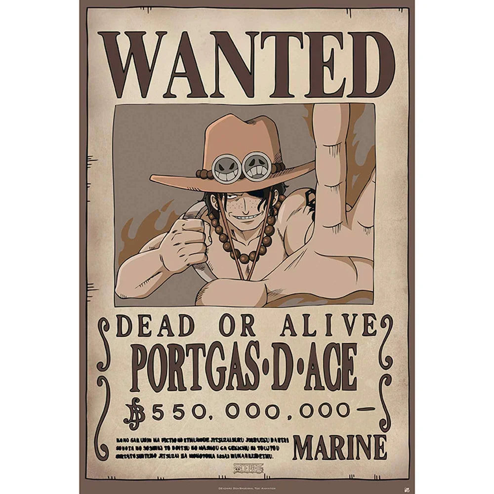 Wanted Fire Pirate 61 x 91.5 cm Wall Poster