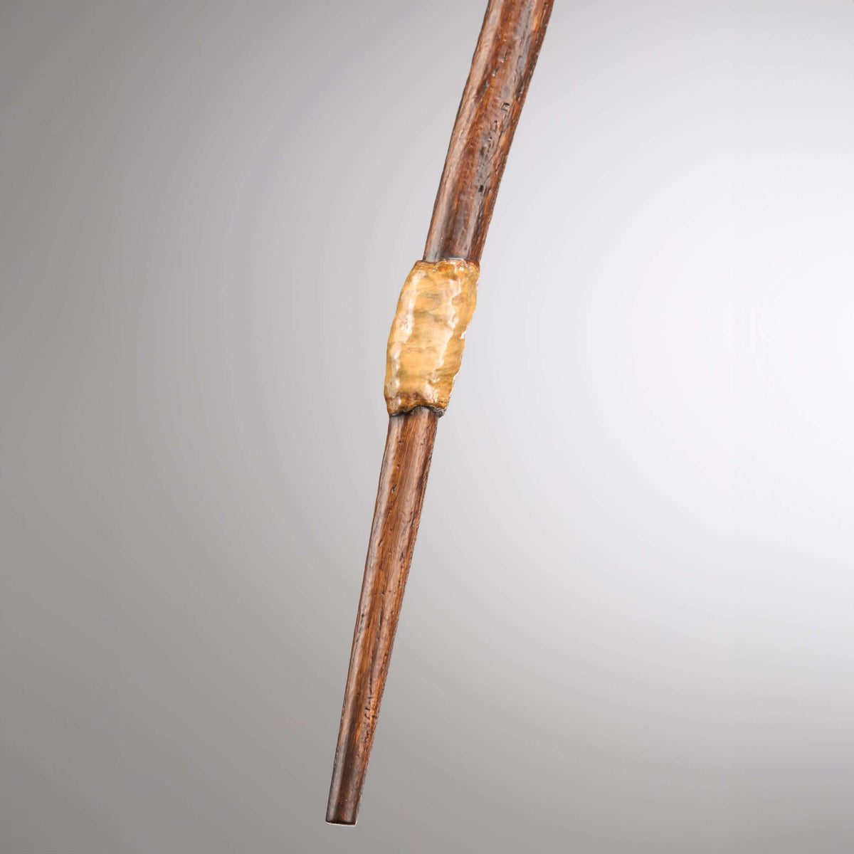 Young Wizard Companion’s First Wand in Presentation Box
