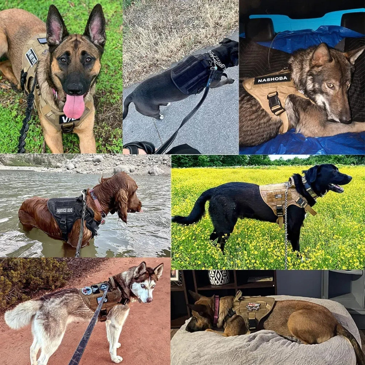 Tactical Dog Harness – Quick Release Training Vest with Handle & Reflective Detail