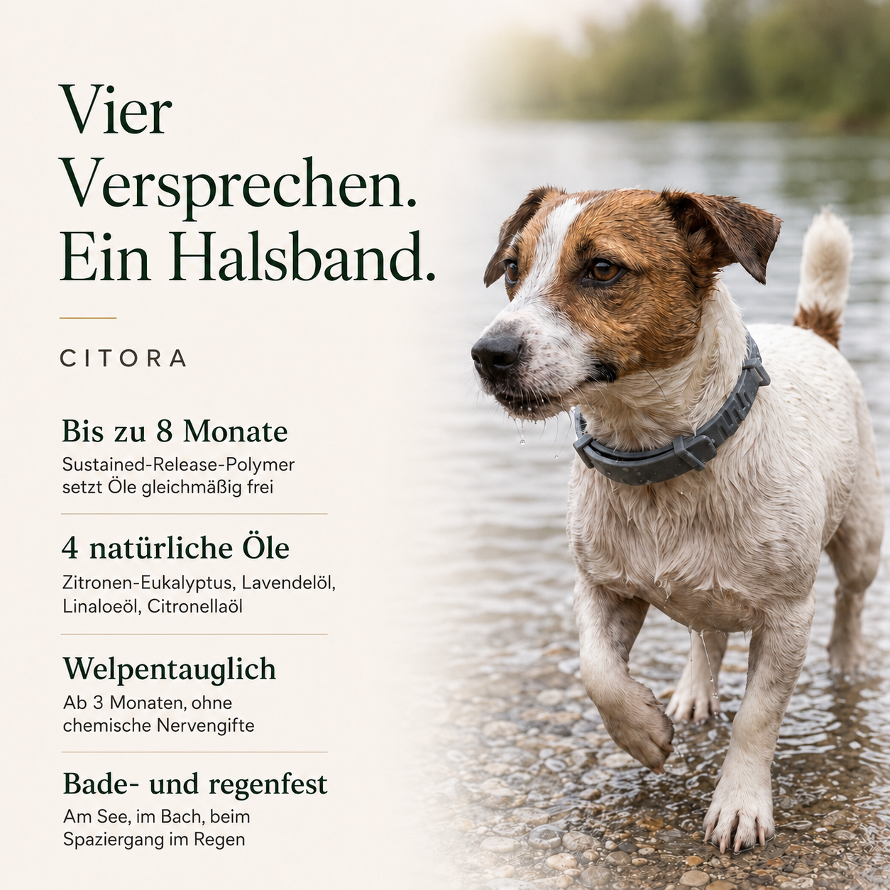 Anti-Tick Collar for Dogs – Adjustable Water-Resistant Pet Collar