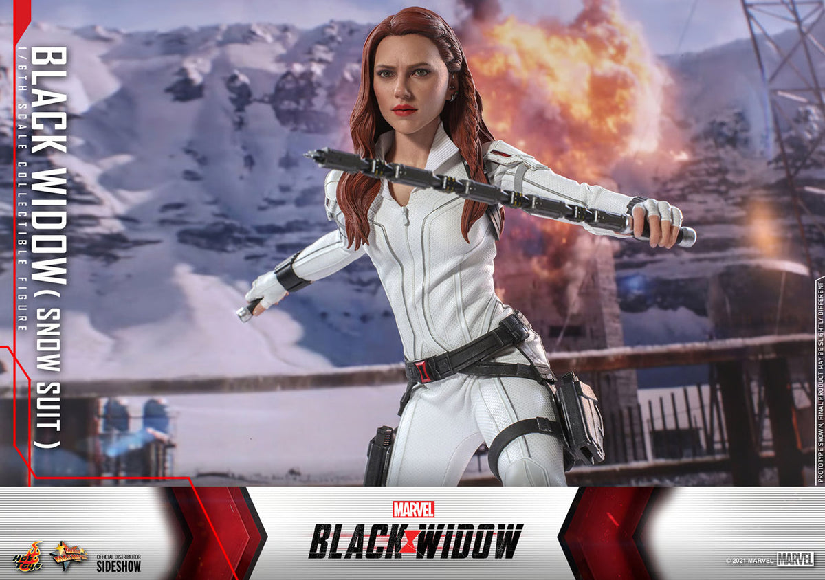 Spy Heroine (Snow Suit Version) 1/6 Scale Action Figure