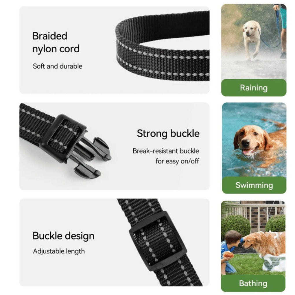 Remote Dog Training Collar with 300m Range