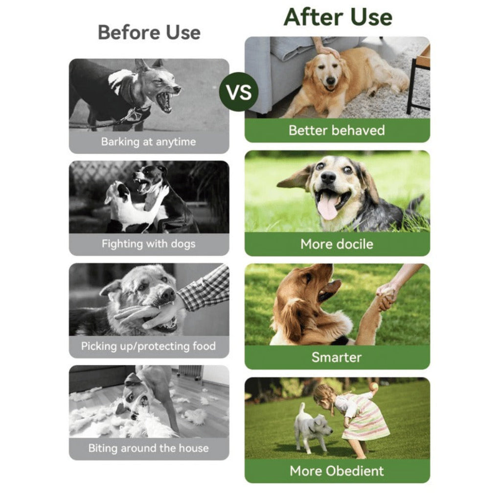Remote Dog Training Collar with 300m Range