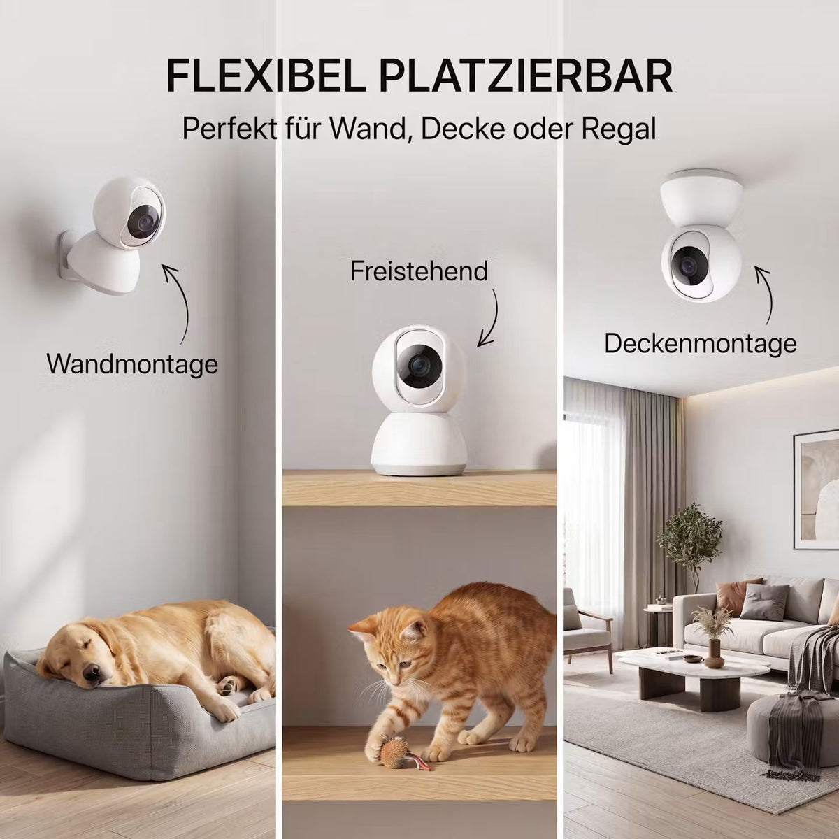 Smart Wi-Fi Pet Camera – Night Vision, Motion Detection & App Control