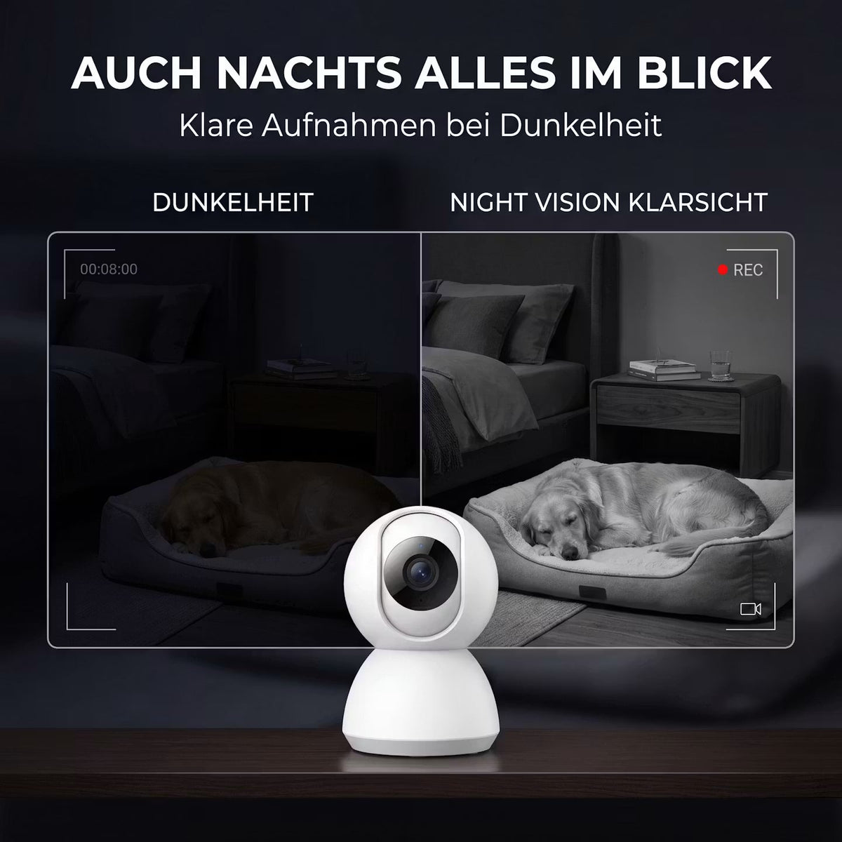 Smart Wi-Fi Pet Camera – Night Vision, Motion Detection & App Control