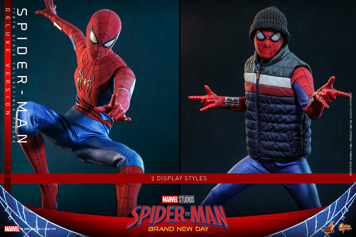 Web Hero (Deluxe Version) 1/6 Scale Action Figure