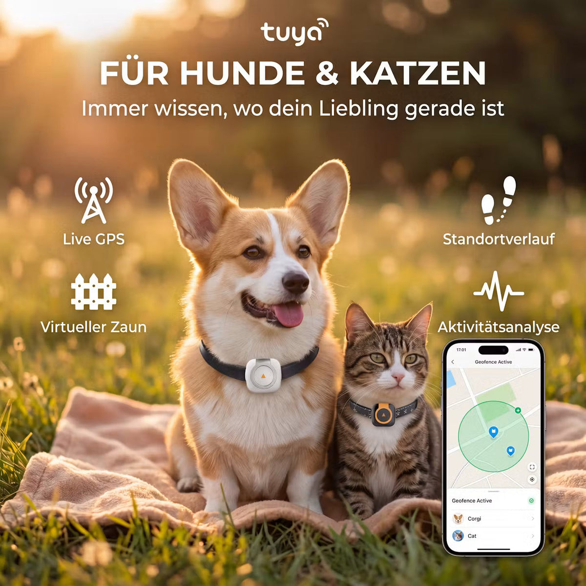 GPS Pet Tracker Collar – Real-Time Location for Dogs & Cats
