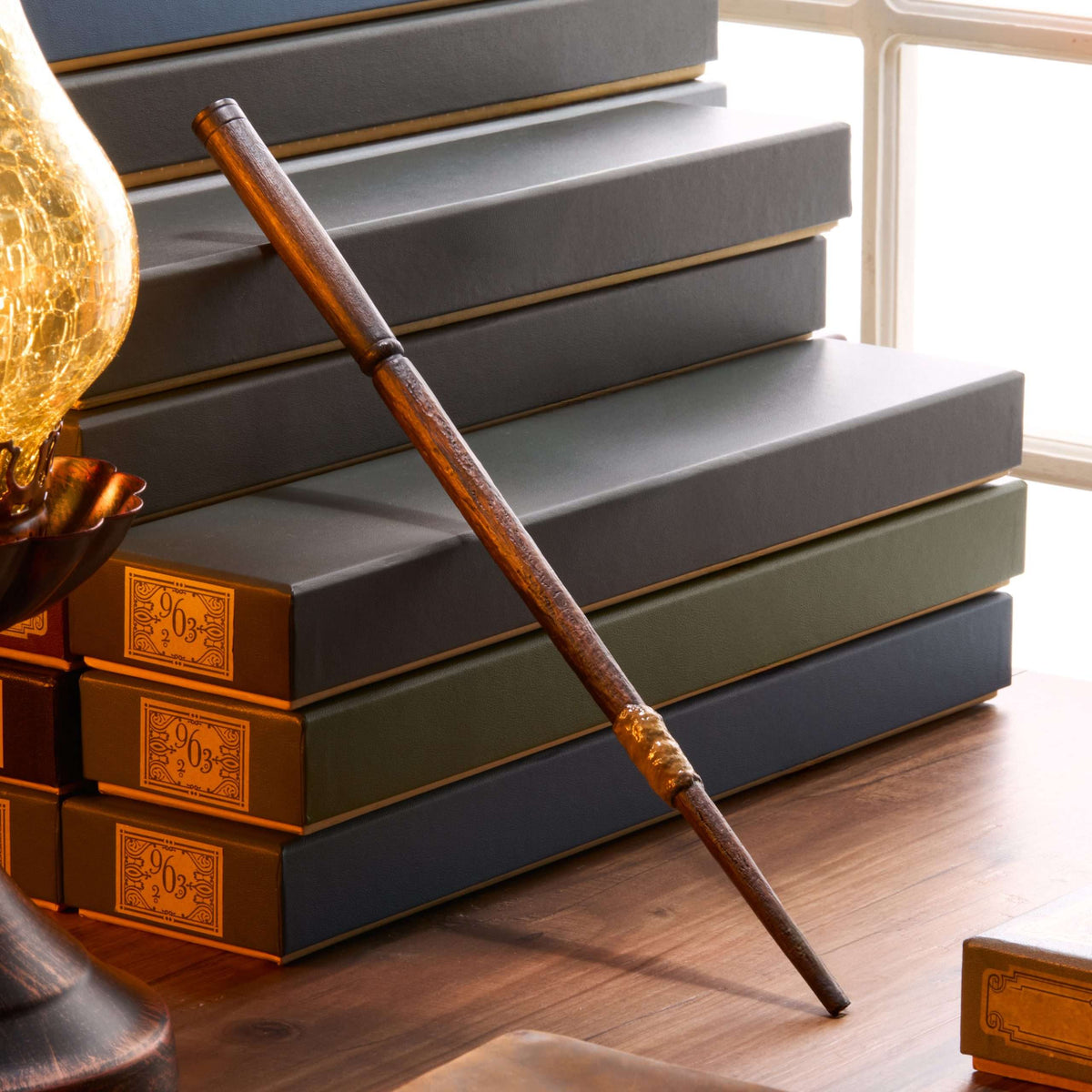 Young Wizard Companion’s First Wand in Presentation Box